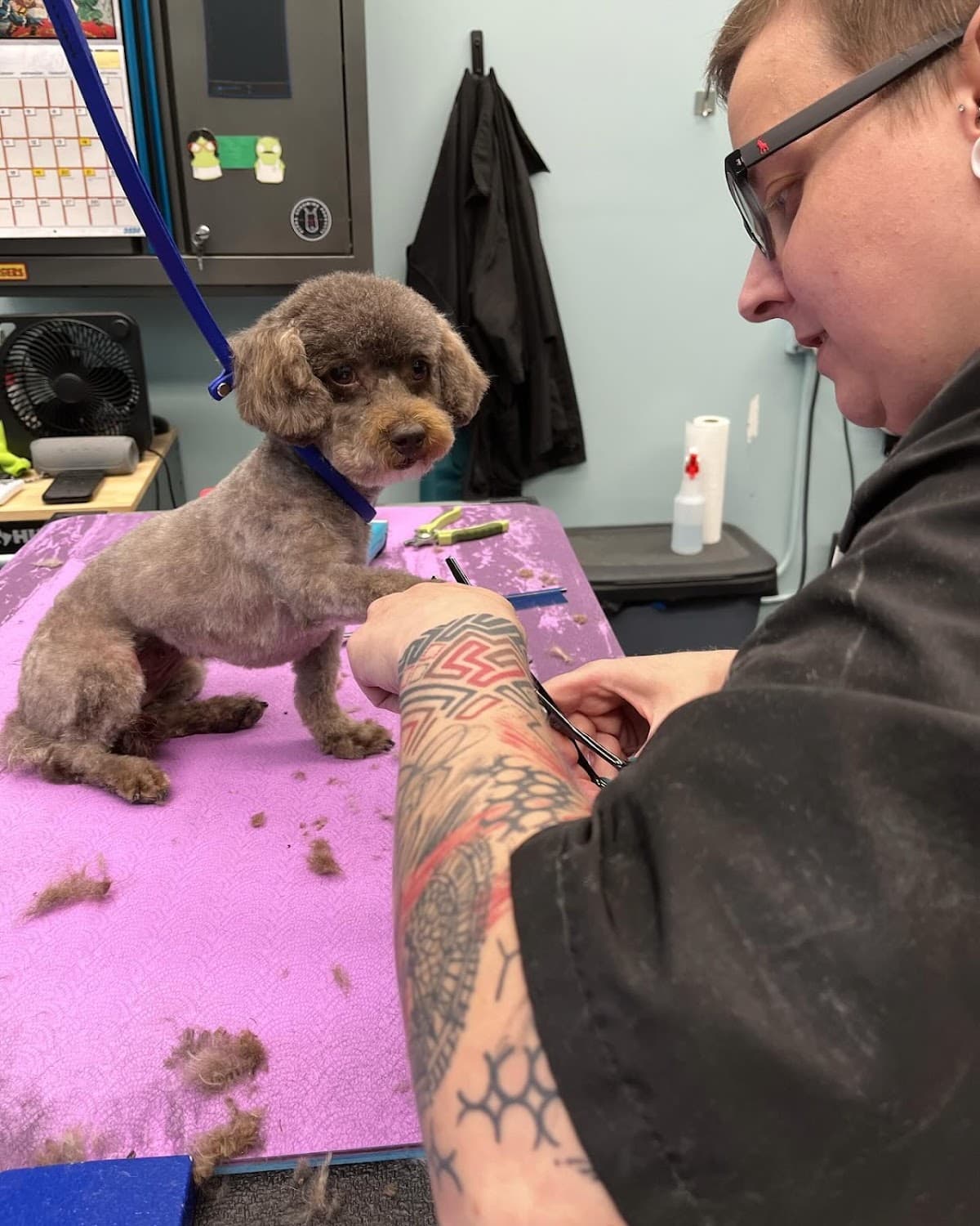 Ravenswoof - Pet groomer in Chicago, IL