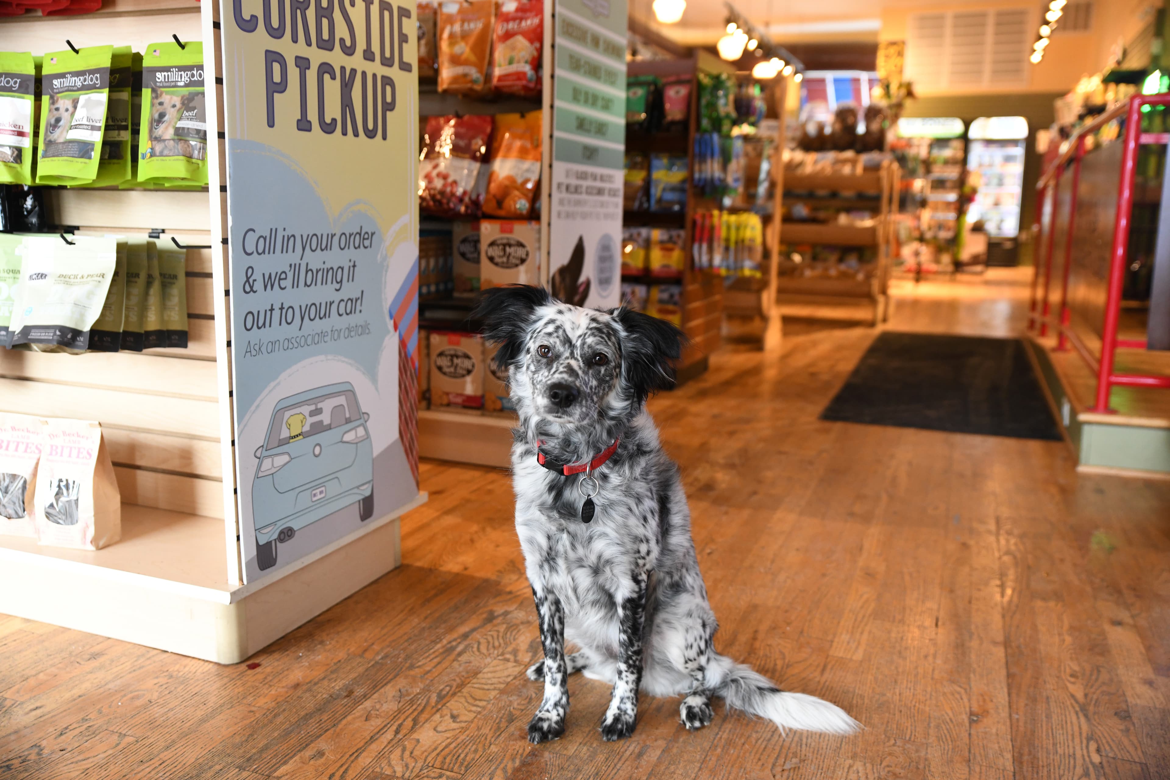 Brookside Barkery & Bath - Brookside - Pet groomer in Kansas City, MO