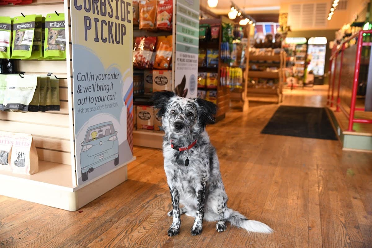 Brookside Barkery & Bath - Brookside - Pet groomer in Kansas City, MO