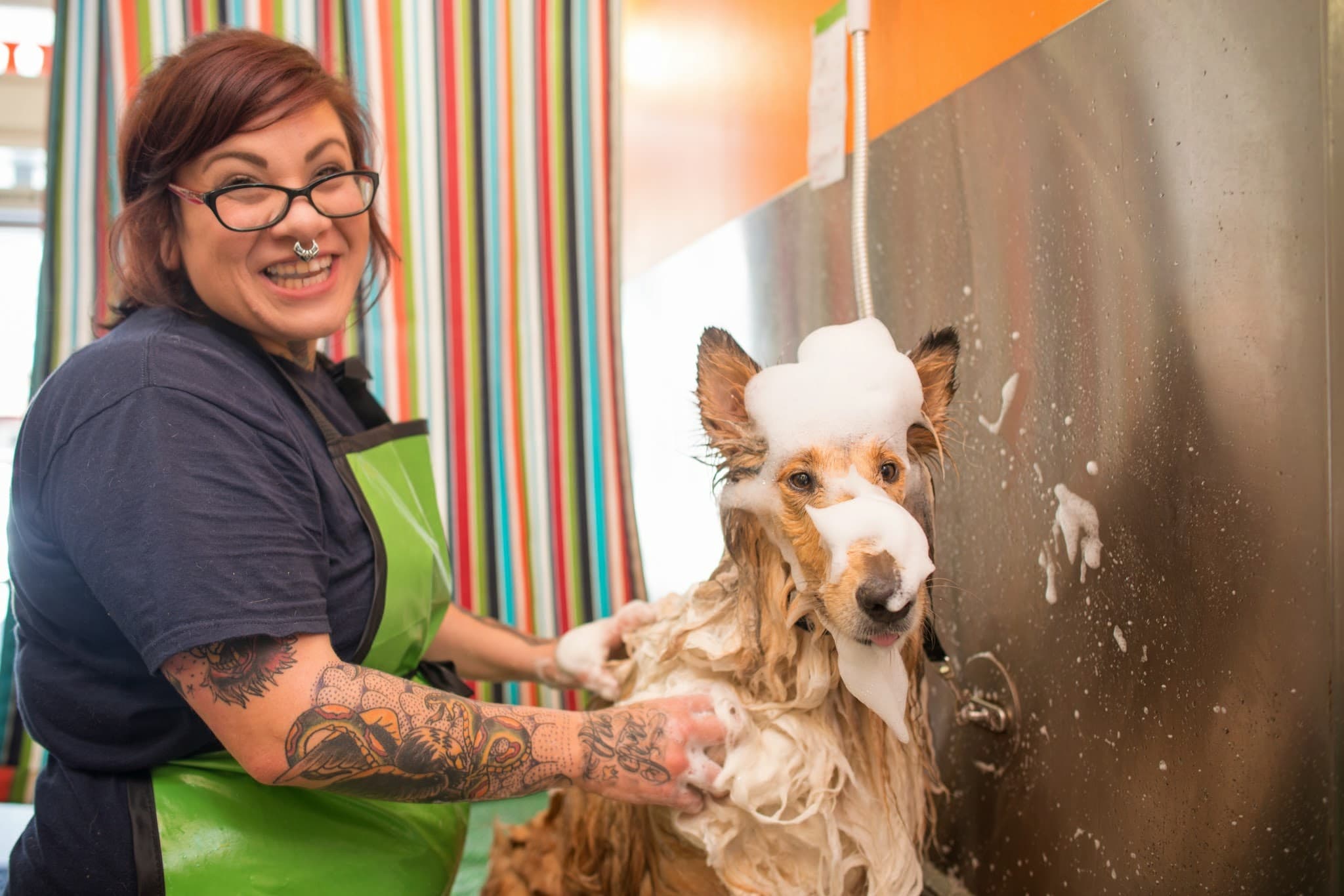 Mudpuppy's - Pet groomer in San Francisco, CA