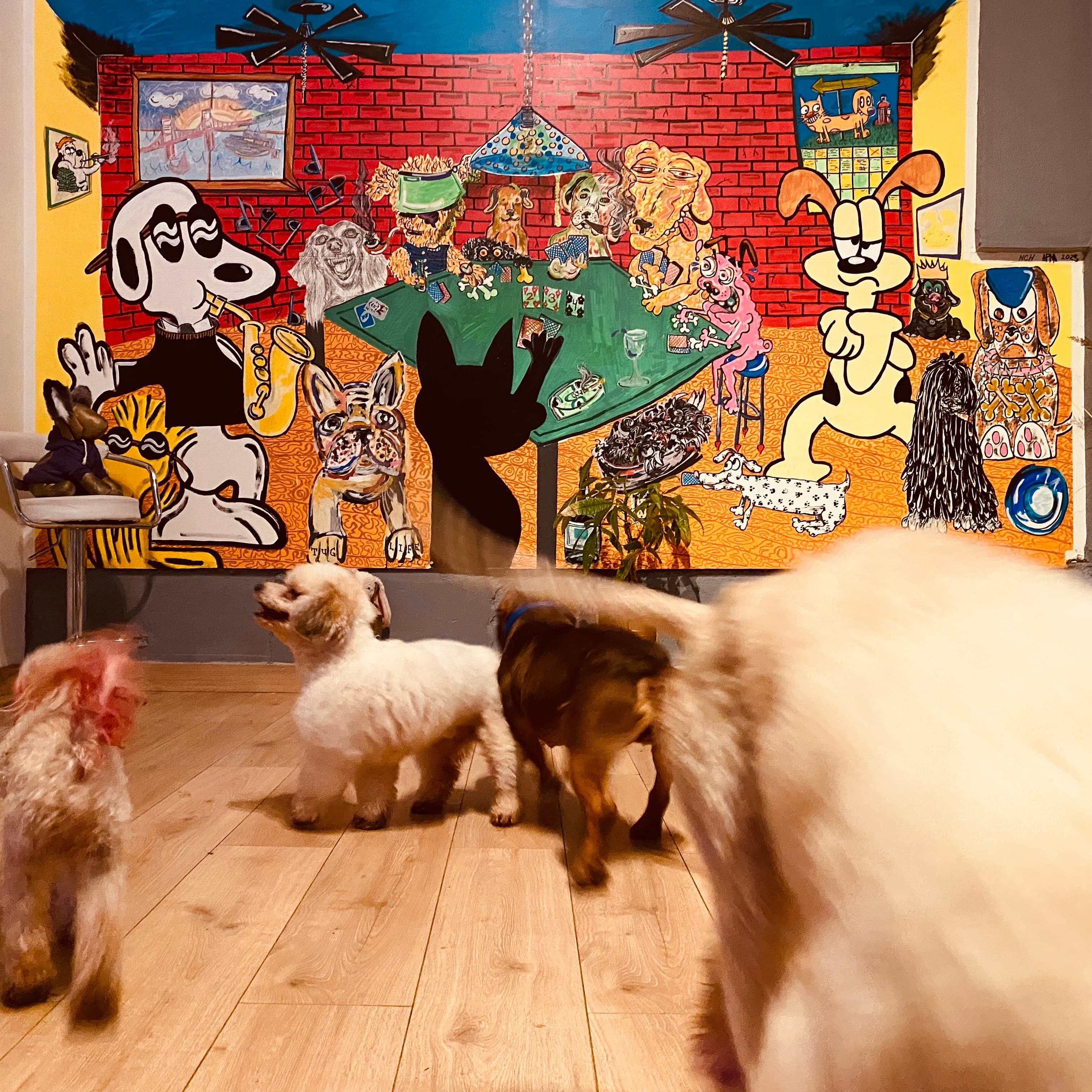 En Vogue Pet Grooming - Pet groomer in San Francisco, CA