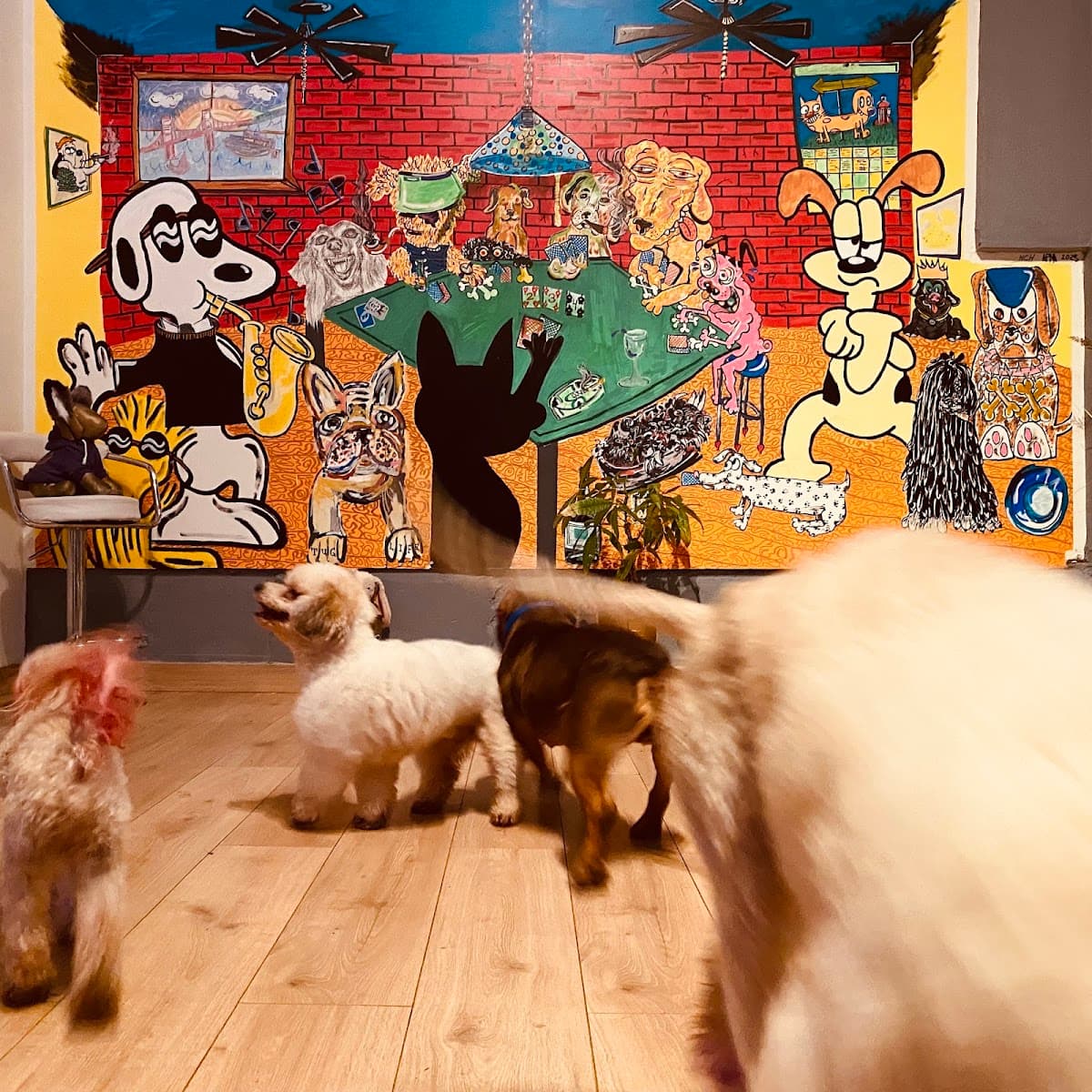 En Vogue Pet Grooming - Pet groomer in San Francisco, CA