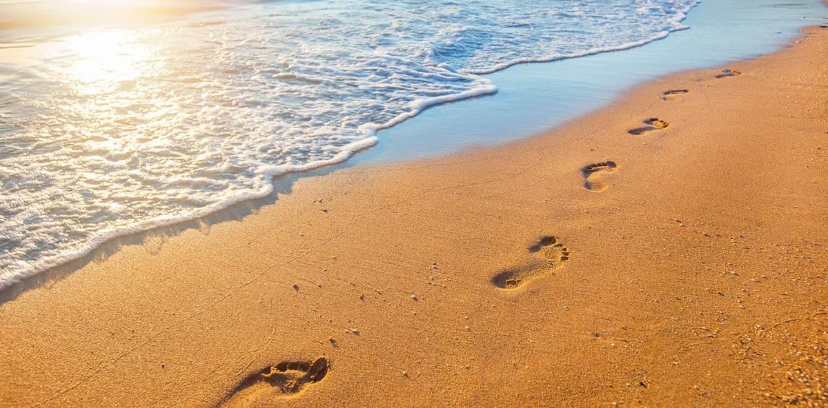Dr. Neil Feldman, Podiatrist - Doctor in Worcester, MA