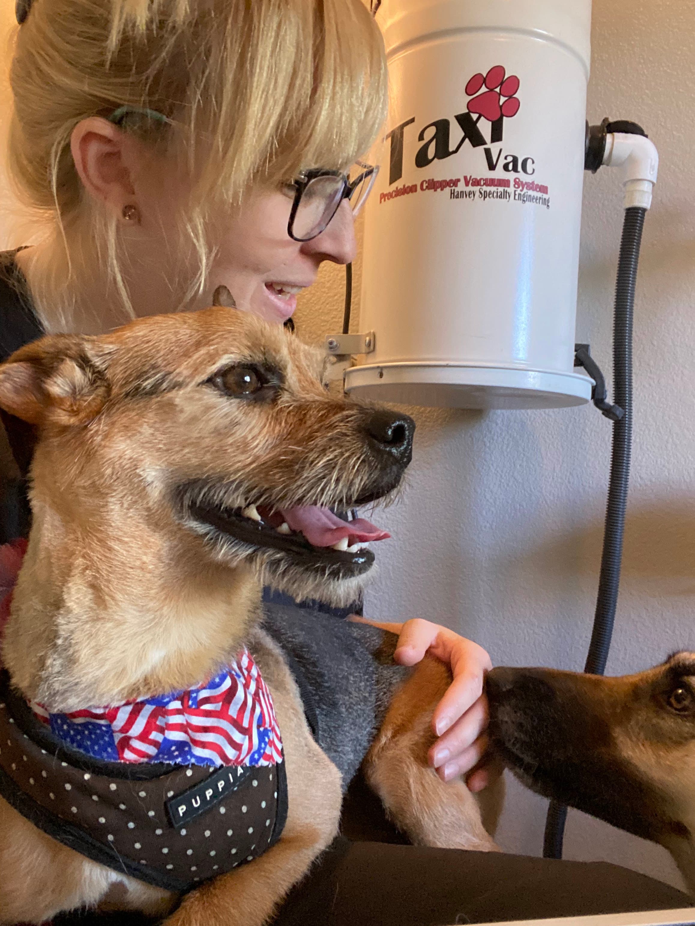 Mills Family Pet Grooming LLC - Pet groomer in Columbus, OH