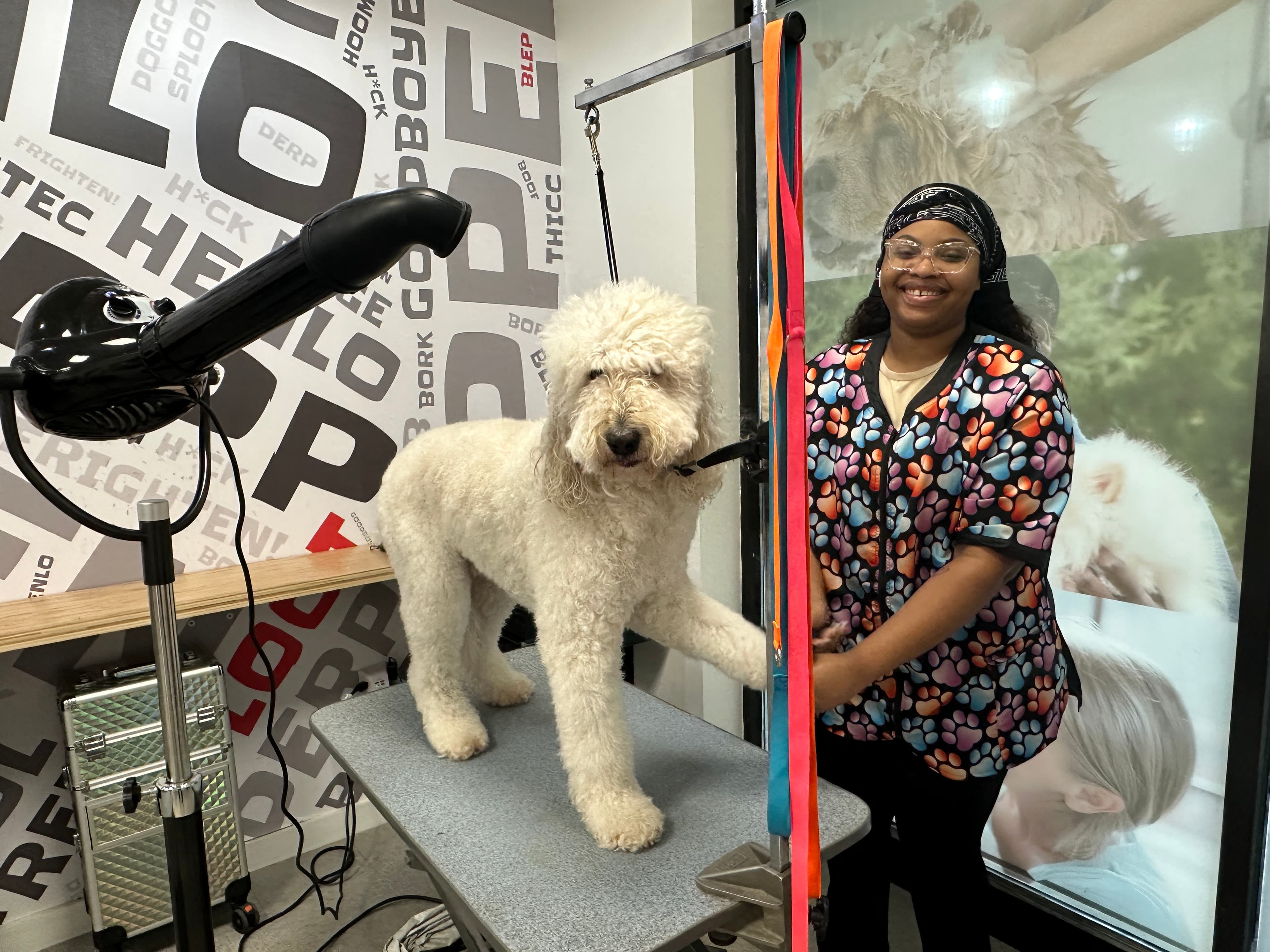 Salty Dawg Pet Salon + Bakery - Westside Atlanta - Pet groomer in Atlanta, GA