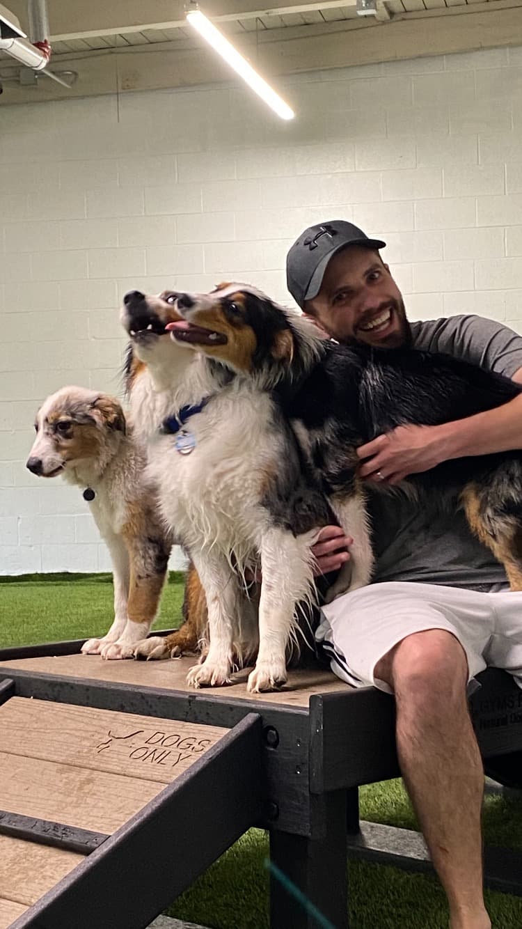 Taps & Tails - Pet groomer in Cleveland, OH