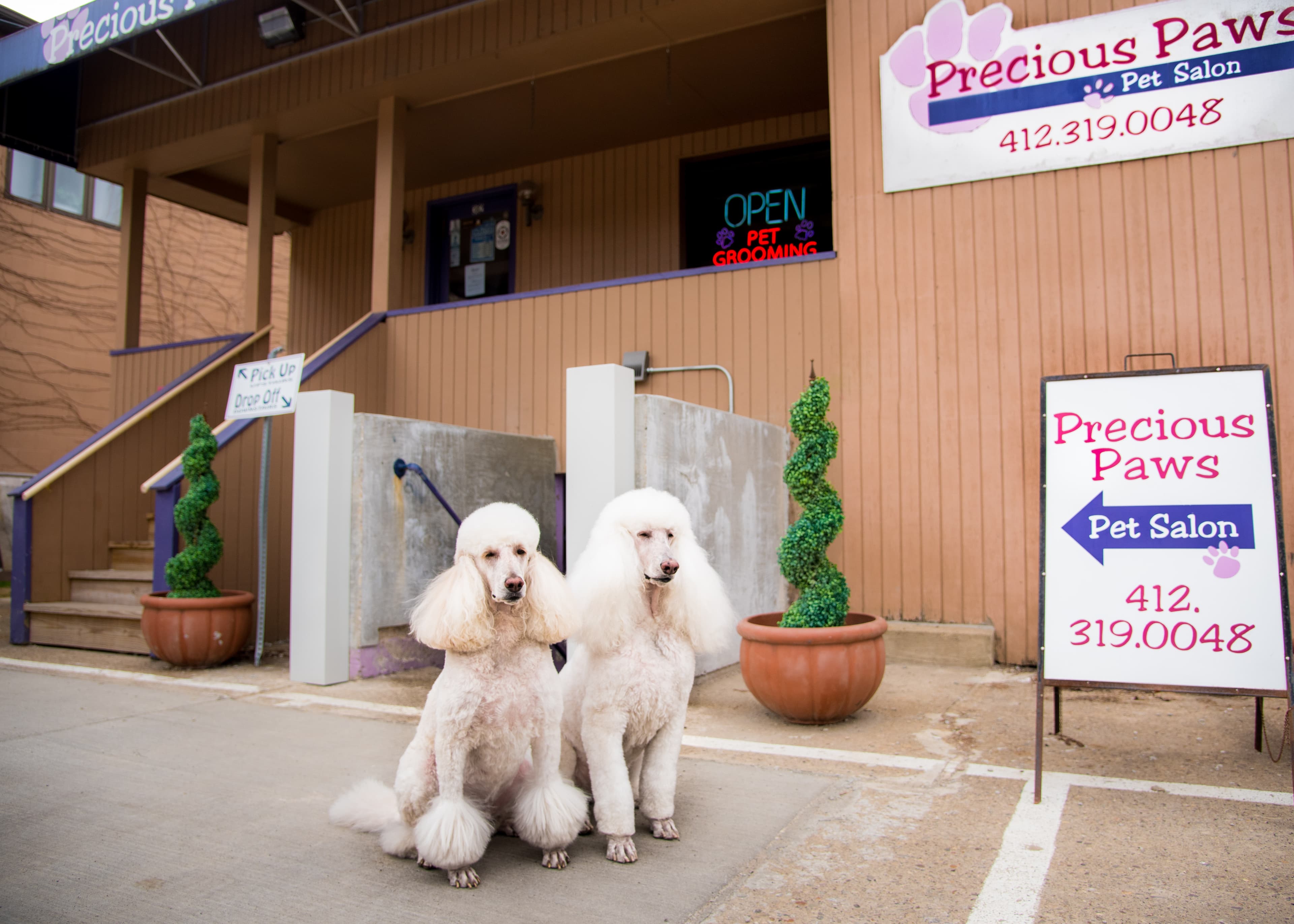 Precious Paws Pet Salon - Pet groomer in Bridgeville, PA
