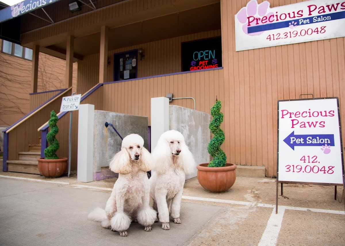 Precious Paws Pet Salon - Pet groomer in Bridgeville, PA