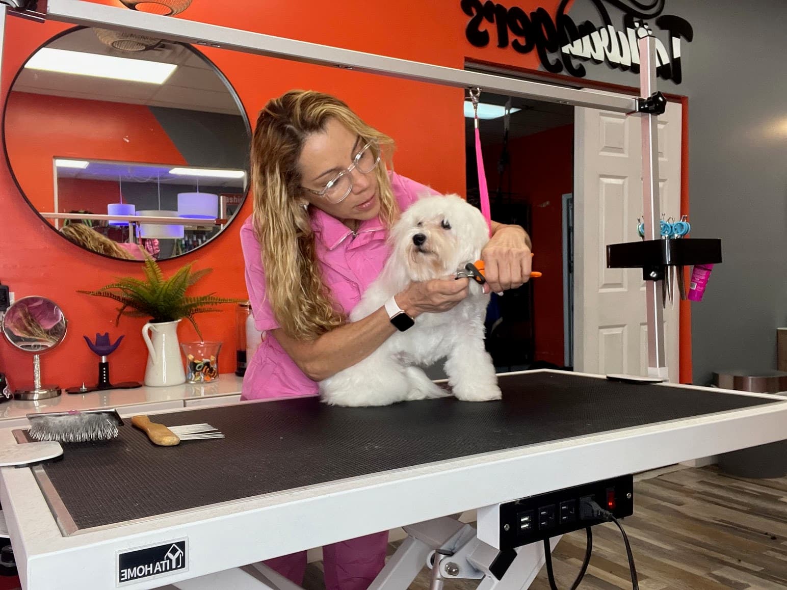 Tail Waggers Pet Grooming - Pet groomer in Oakland Park, FL