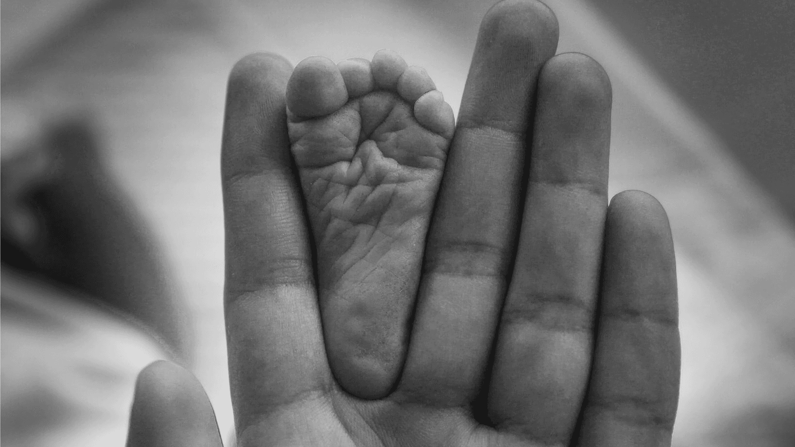 Dr. Matthew Kalmar, DPM - Doctor in Huntington, NY