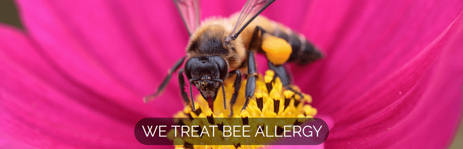 H Farhadian MD Inc - Doctor in Santa Clarita, CA