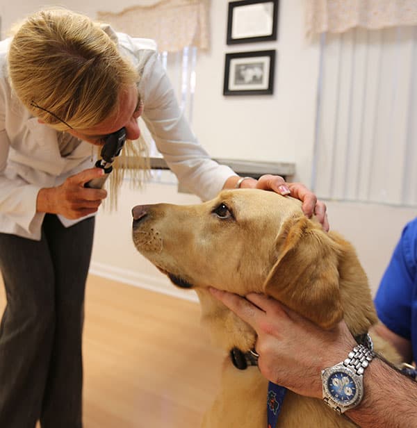 Hale Plantation Animal Clinic - Pet groomer in Gainesville, FL