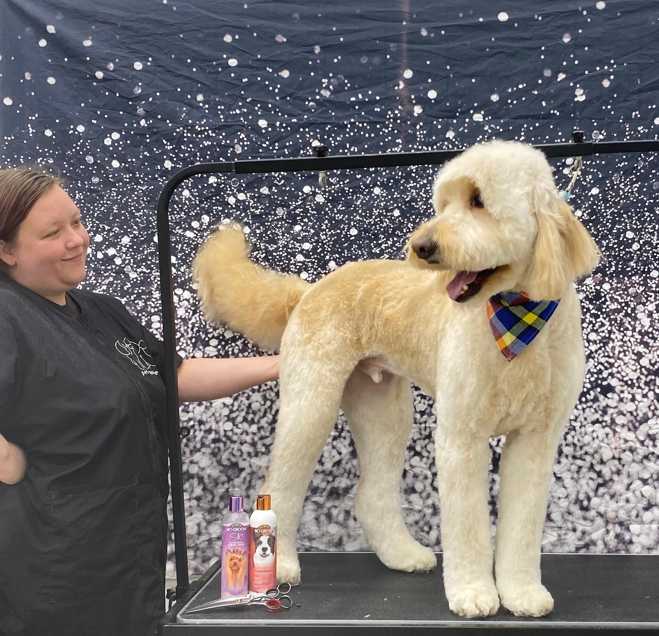 The Paw Wash - Pet groomer in Painesville, OH