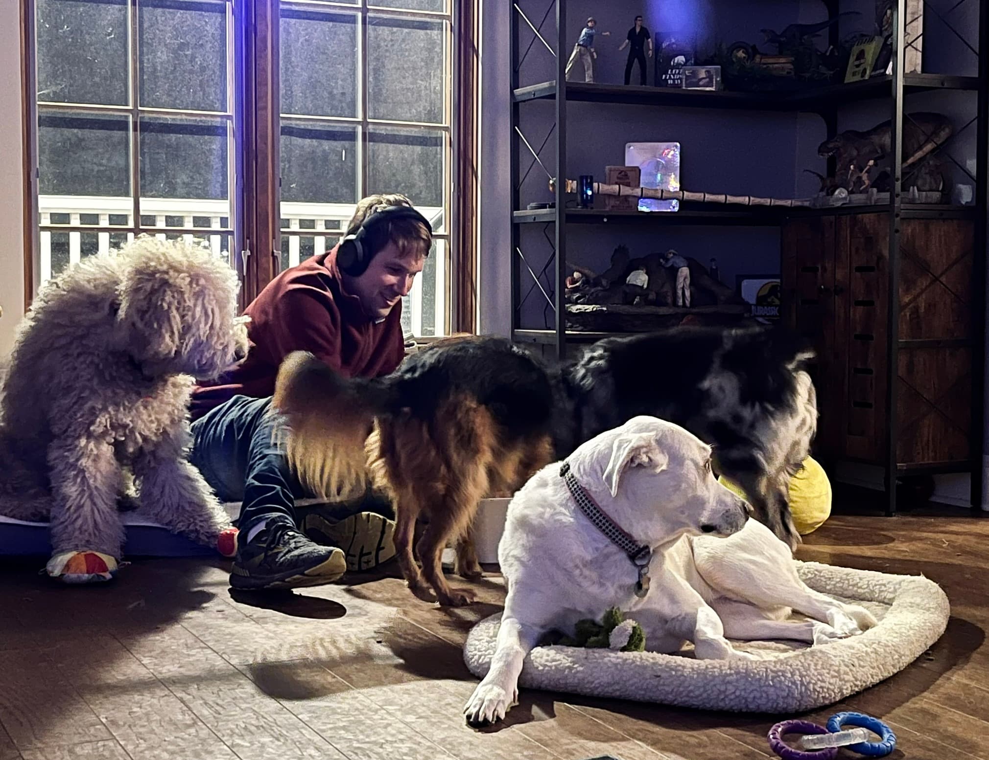 The Dog House at Edgewood - Pet groomer in Indianapolis, IN