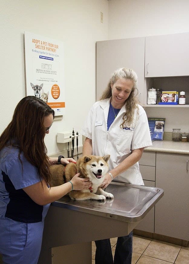 VCA Elliot Park Animal Hospital - Pet groomer in Tempe, AZ