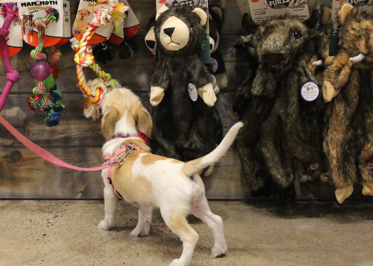 Chuck & Don's Pet Food & Supplies - Pet groomer in Edina, MN
