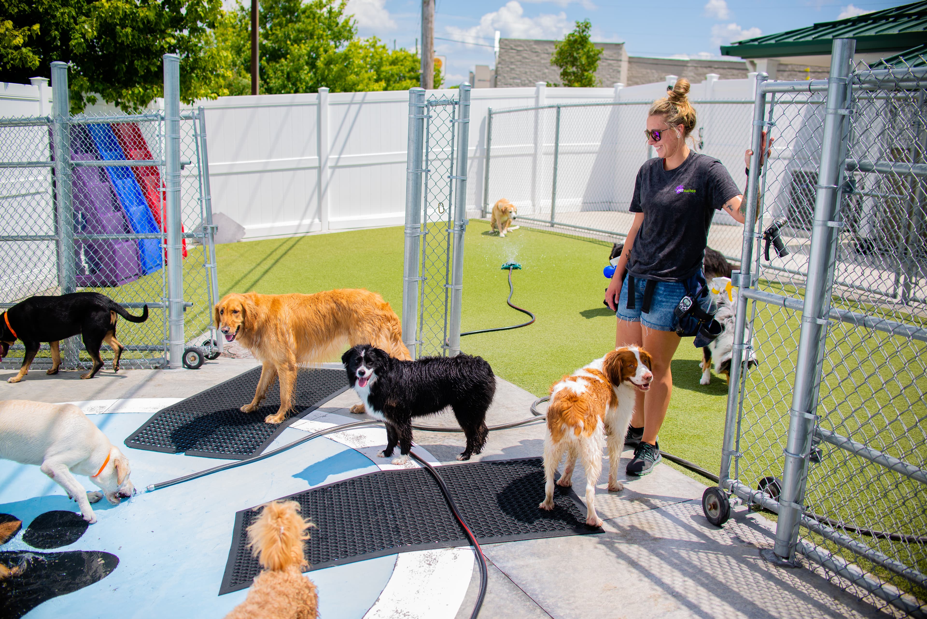 PetSuites Indianapolis Northwest - Pet groomer in Indianapolis, IN