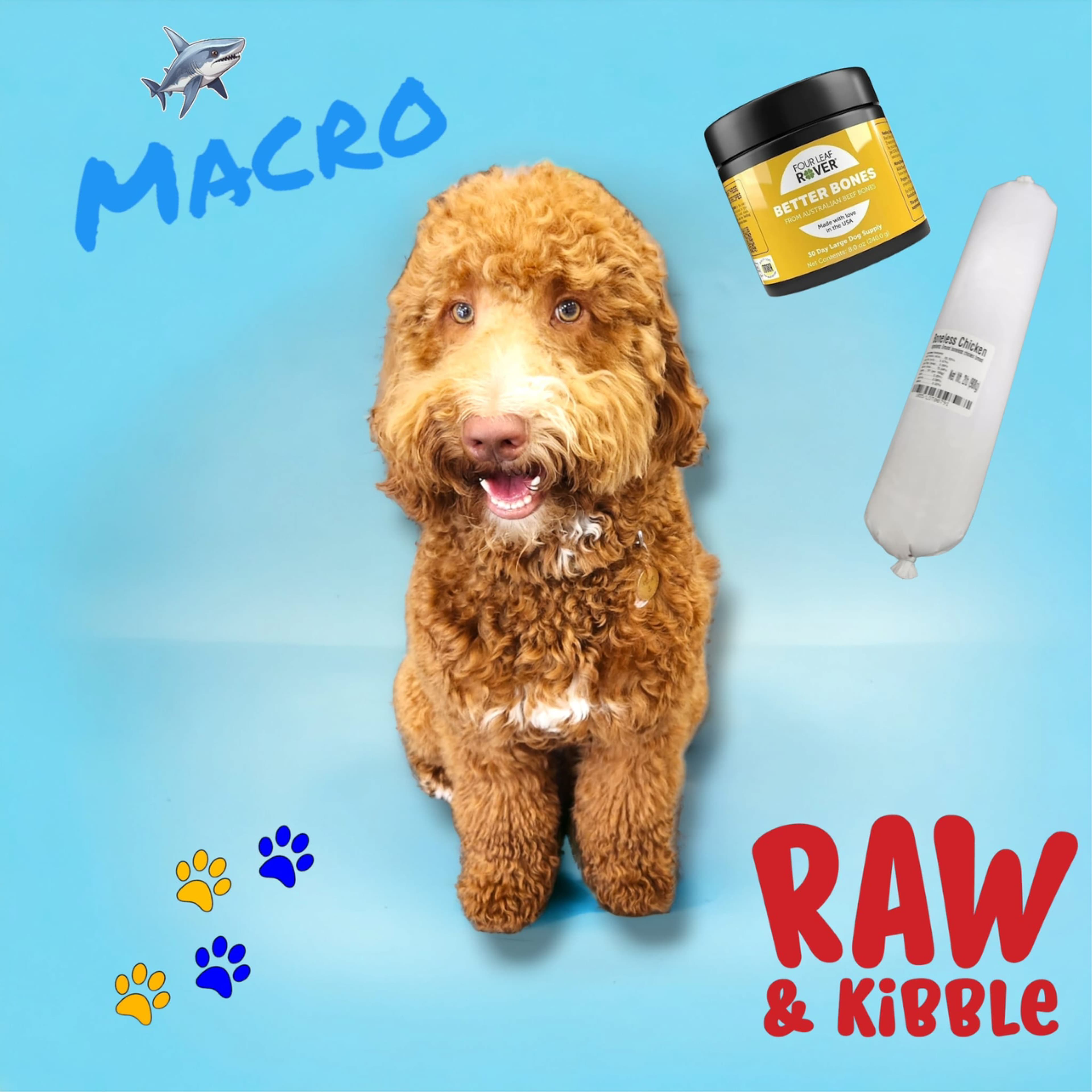 Raw and Kibble Fort Lauderdale Pet supply store - Pet groomer in Fort Lauderdale, FL