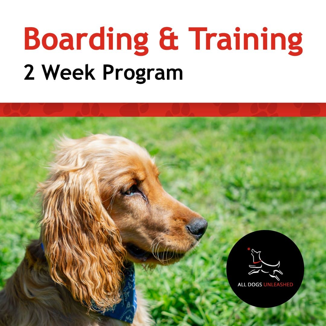 All Dogs Unleashed Dog Training Dallas - Pet groomer in Carrollton, TX