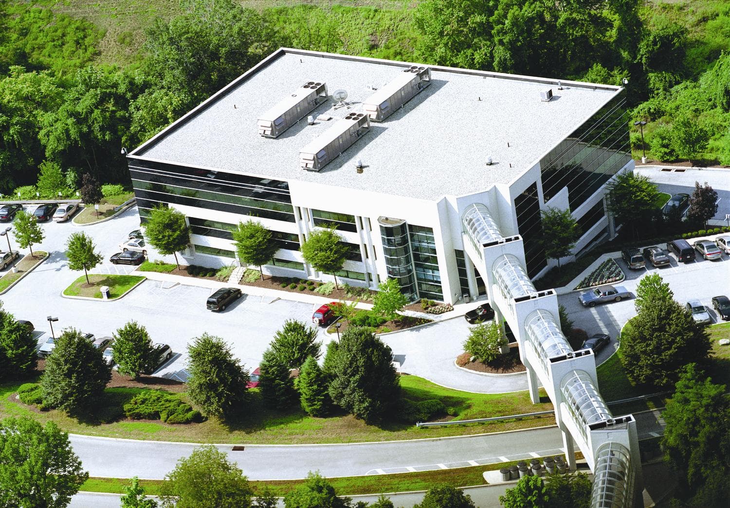 Primary Care Springfield - Doctor in Springfield, PA