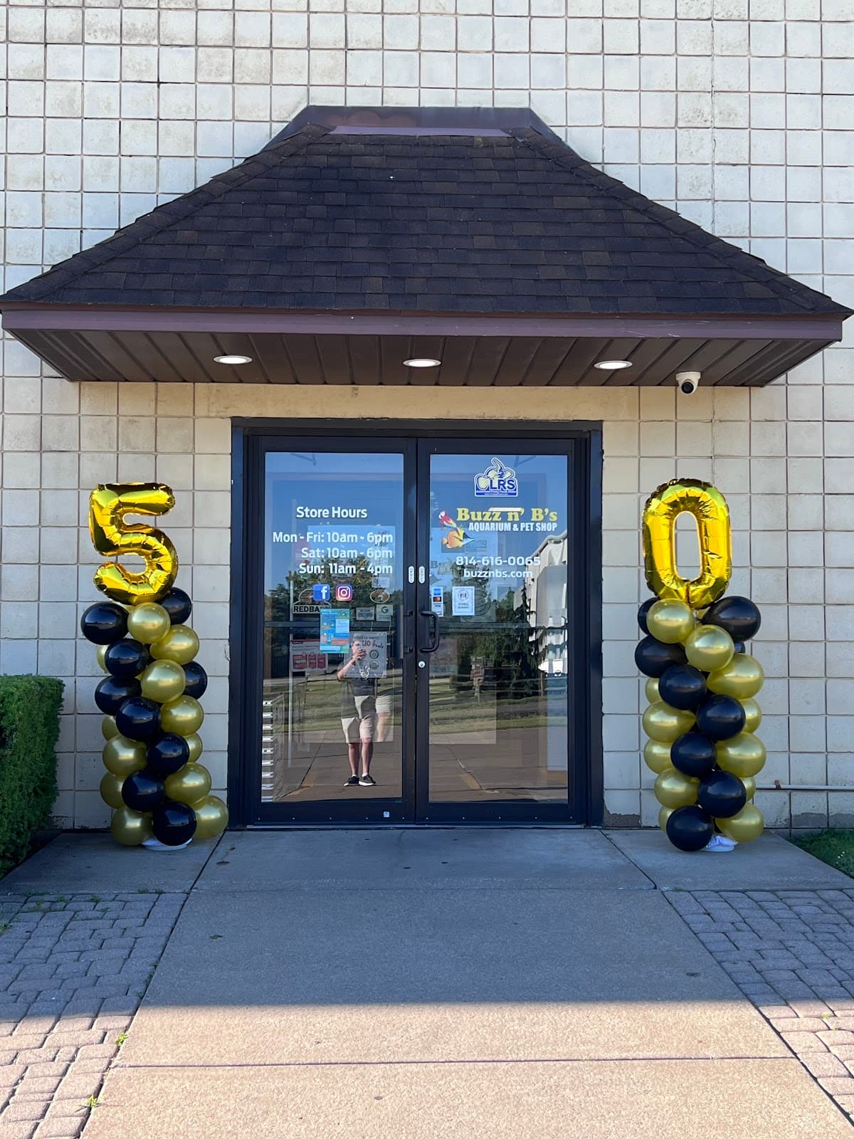 Buzz n B's Aquarium & Pet Shop - Pet groomer in Erie, PA