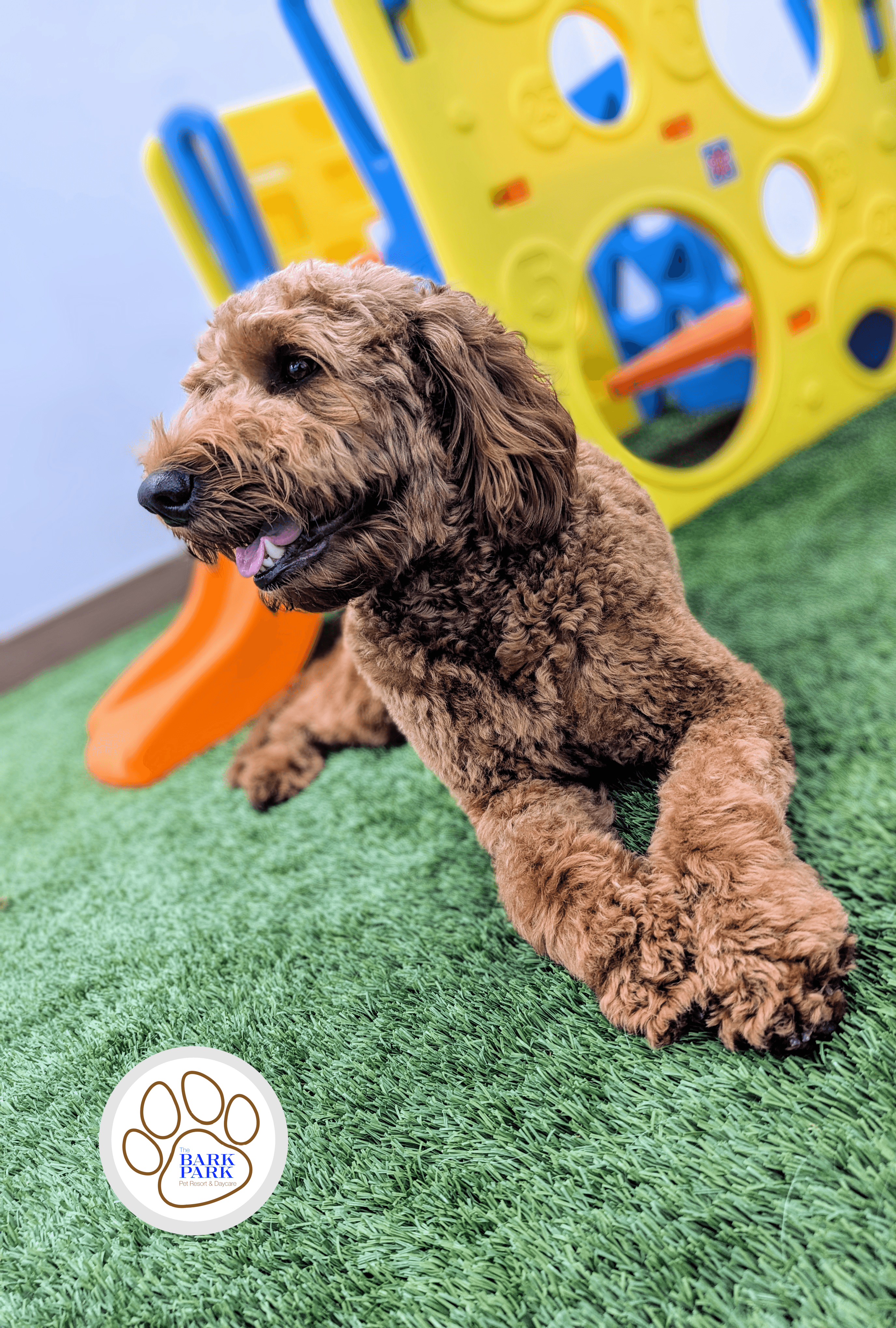The Bark Park Pet Resort and Daycare - Pet groomer in Sacramento, CA