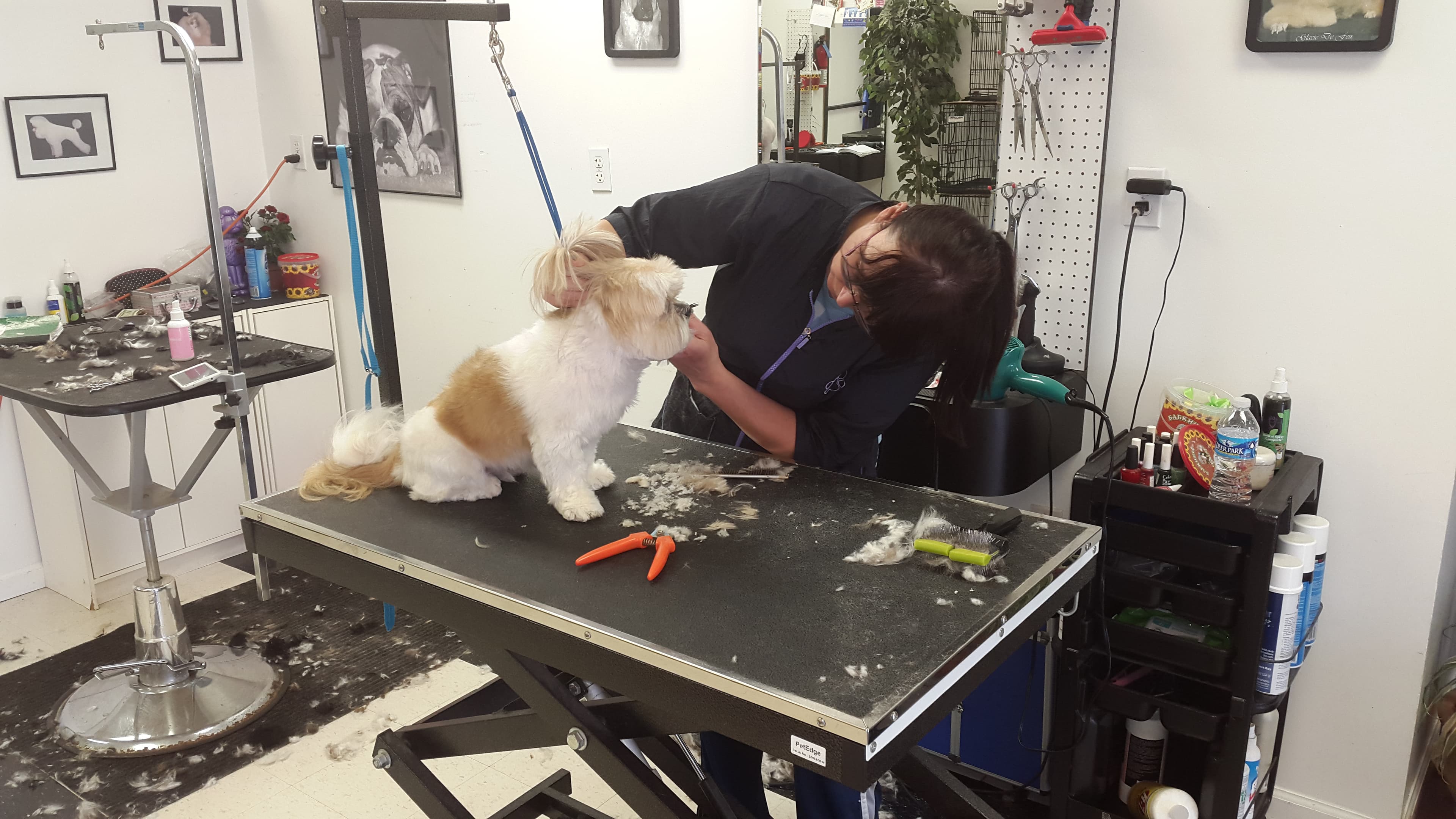 Barking Broadway - Pet groomer in Cleveland, OH