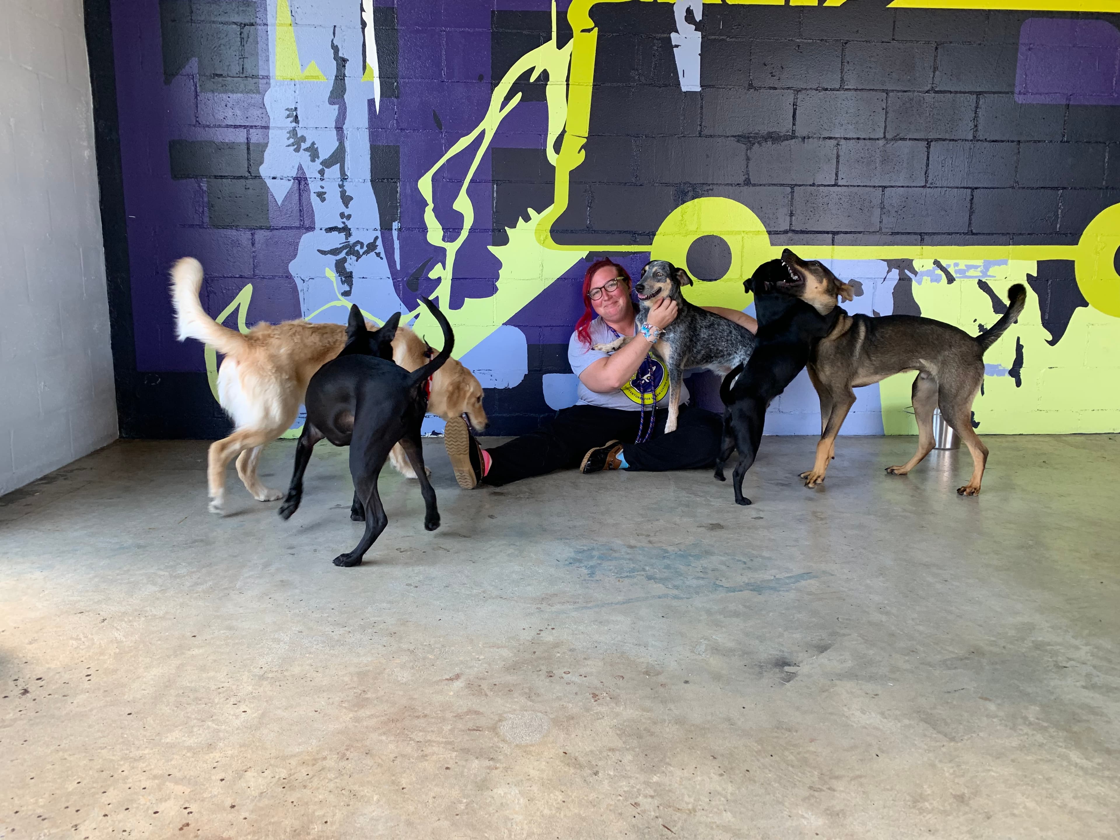 Paws 'n' Rec - Lemon - Pet groomer in Tampa, FL