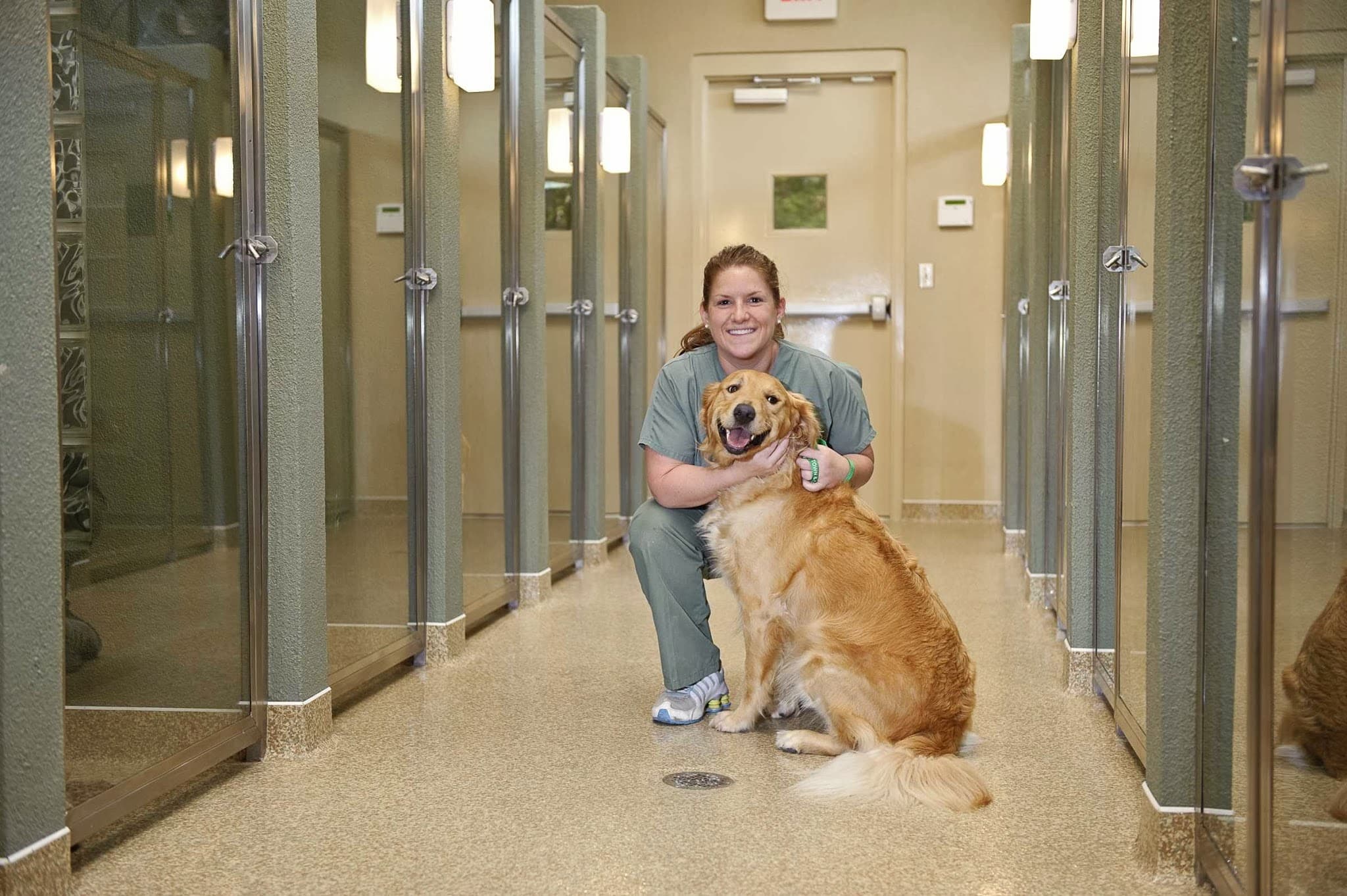 Town & Country Veterinarians and Pet Resort - Pet groomer in Gainesville, FL