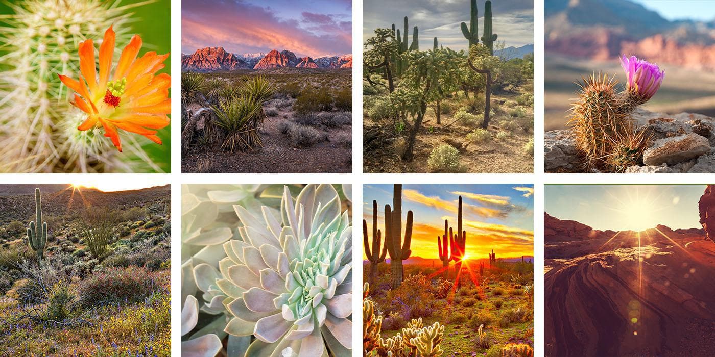 Kathleen Smith, MD - Doctor in Henderson, NV