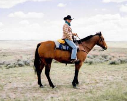 Family Health Care: Boise's True Family Practice - Doctor in Boise, ID