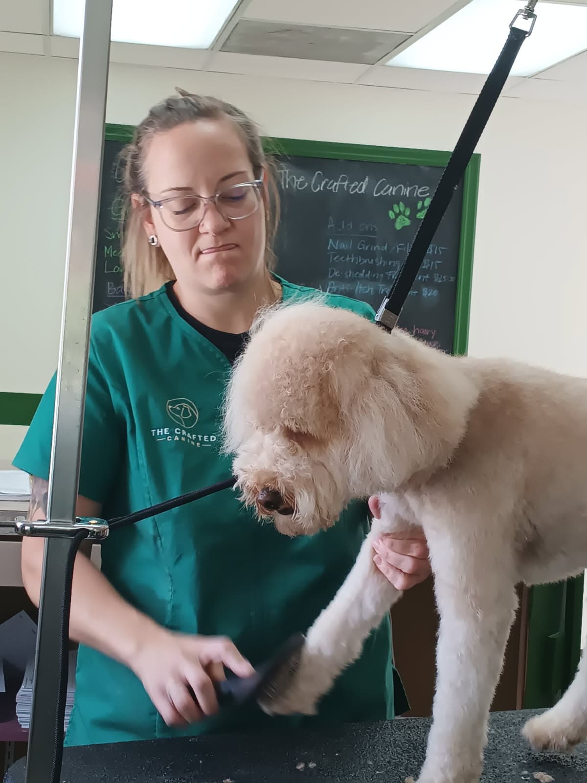 The Crafted Canine - Pet groomer in Indianapolis, IN