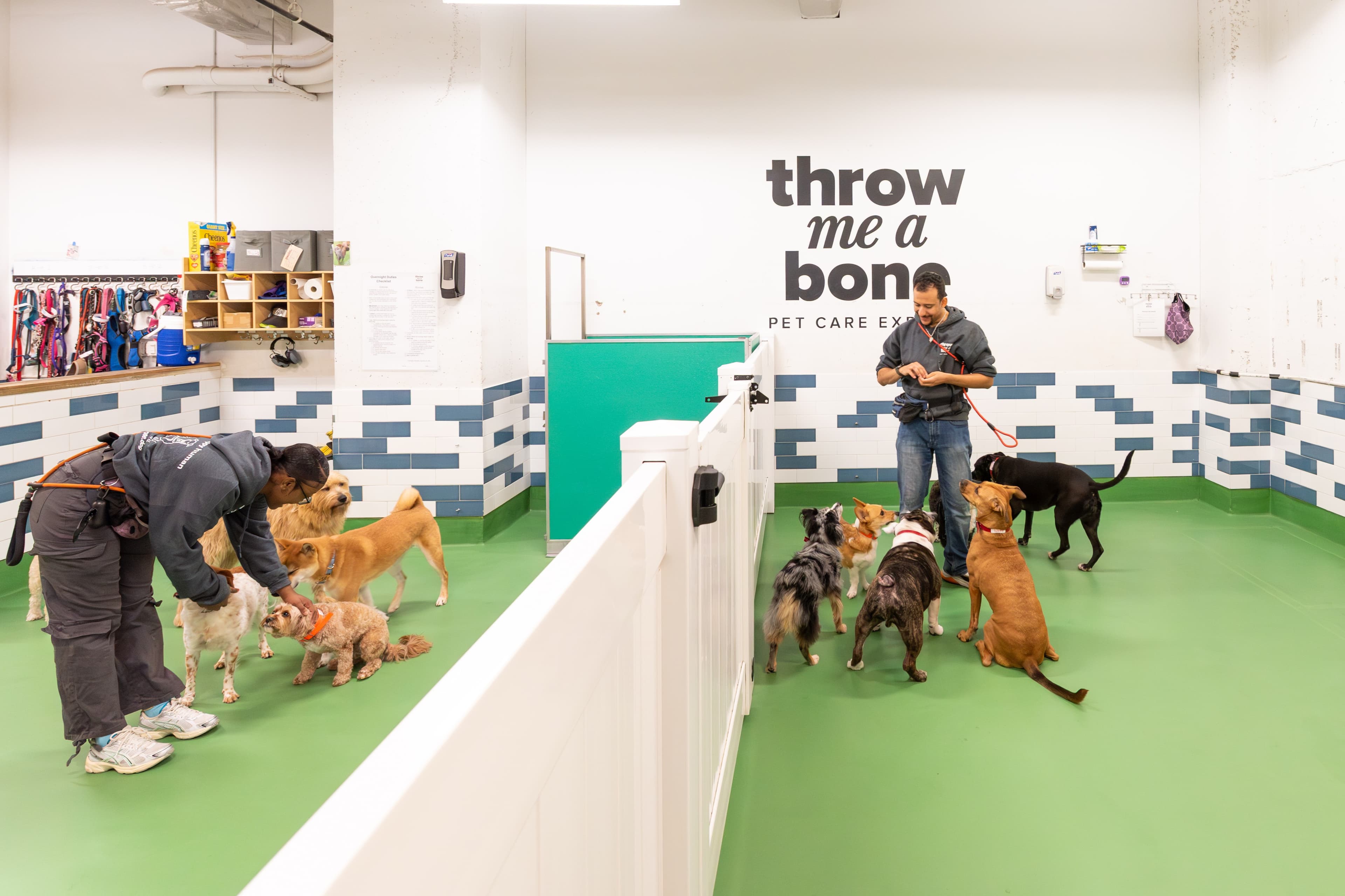 Throw Me A Bone Inc. / Dog Daycare, Grooming and Boarding - Pet groomer in New York, NY