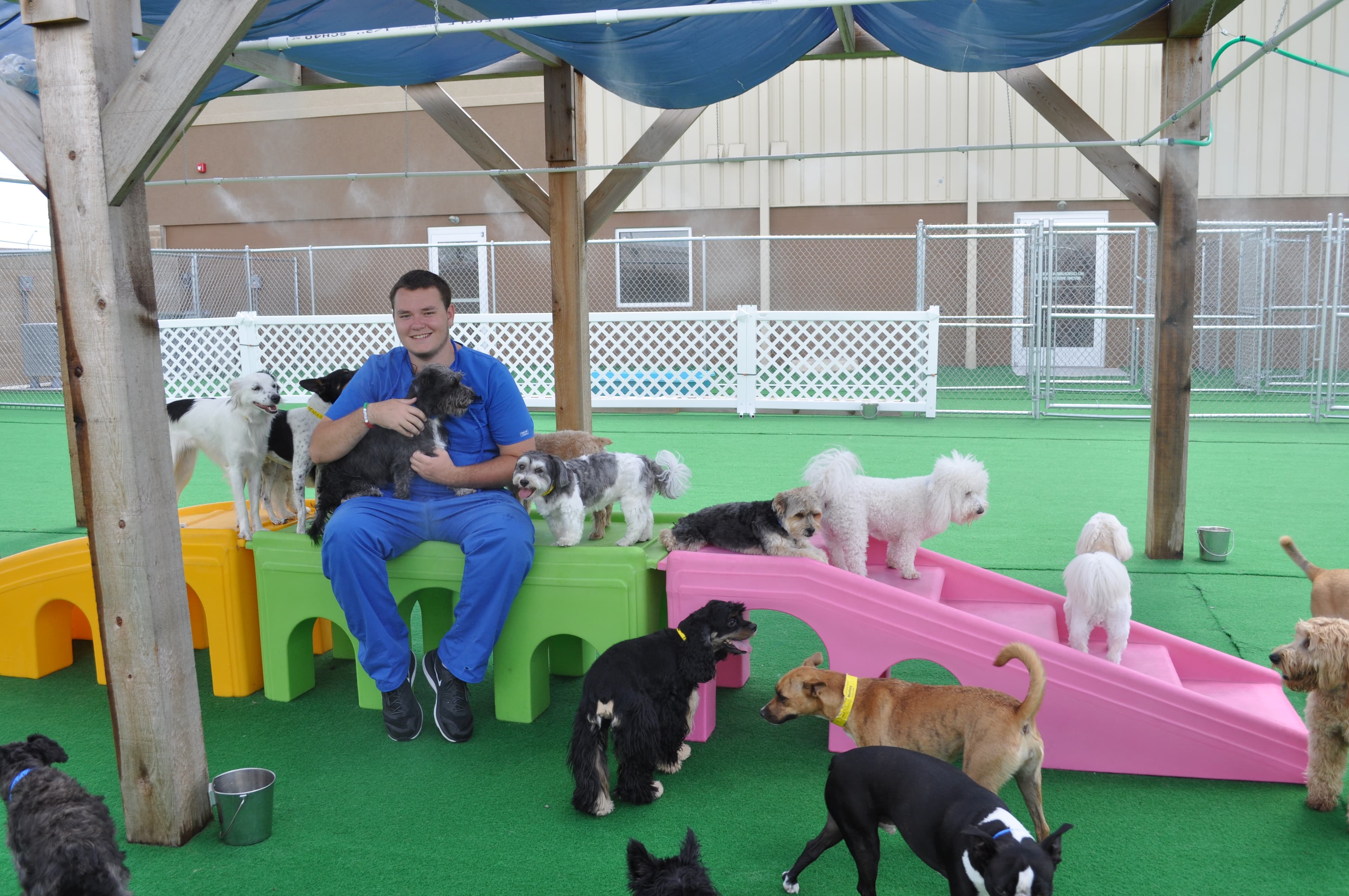 Barkefellers - Indianapolis Northeast - Pet groomer in Indianapolis, IN