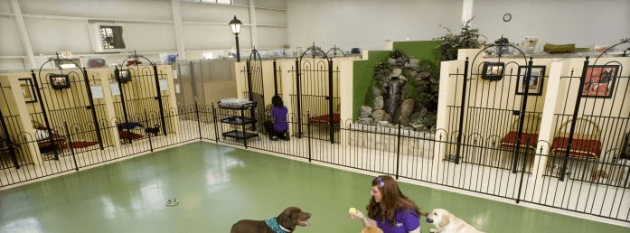 Pet Palace - Columbus - Pet groomer in Columbus, OH