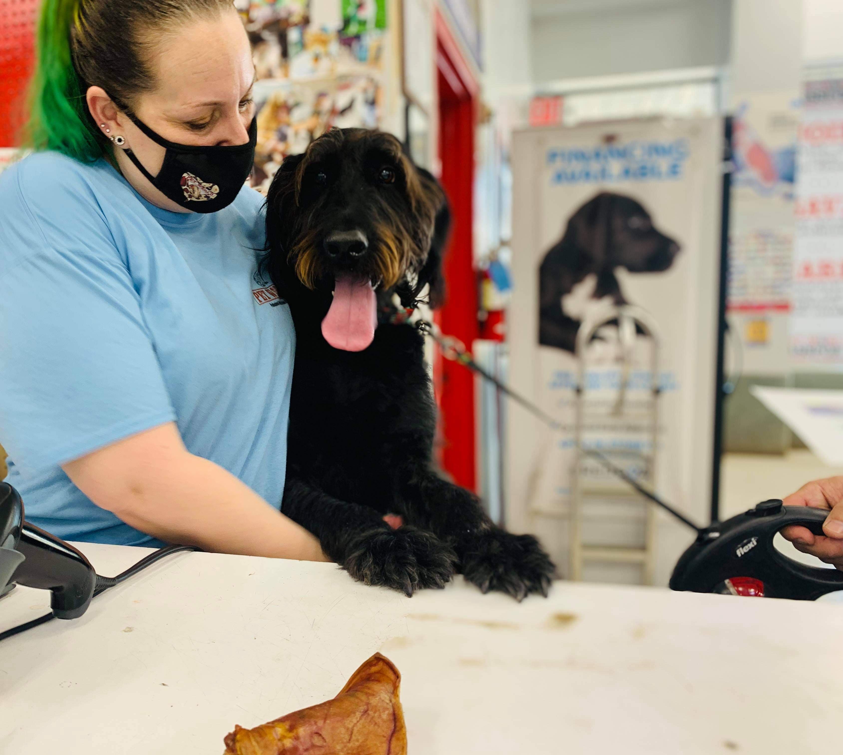 Pet World - Pet groomer in Hampton, VA