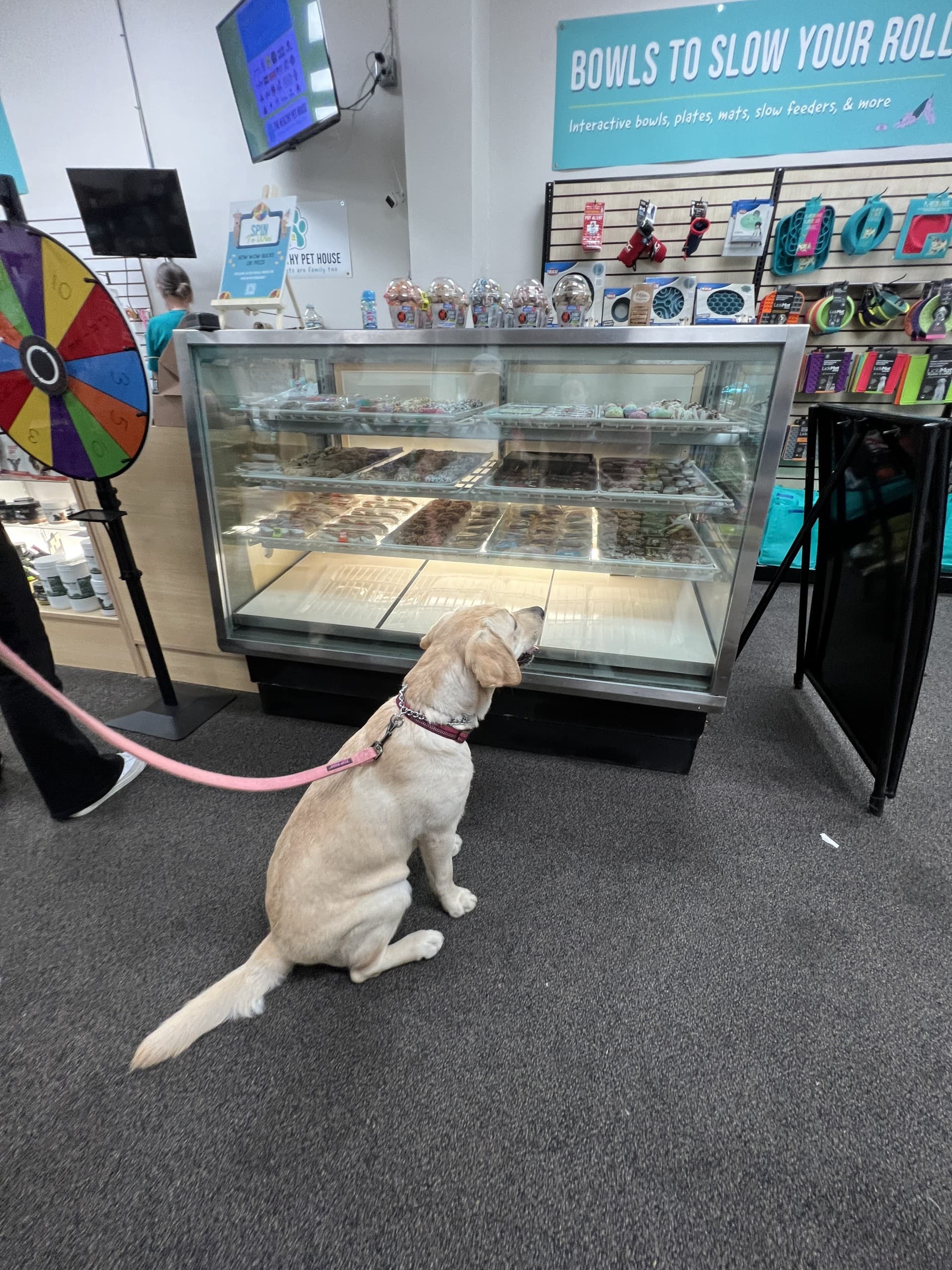 The Healthy Pet House - Pet groomer in St. Louis, MO