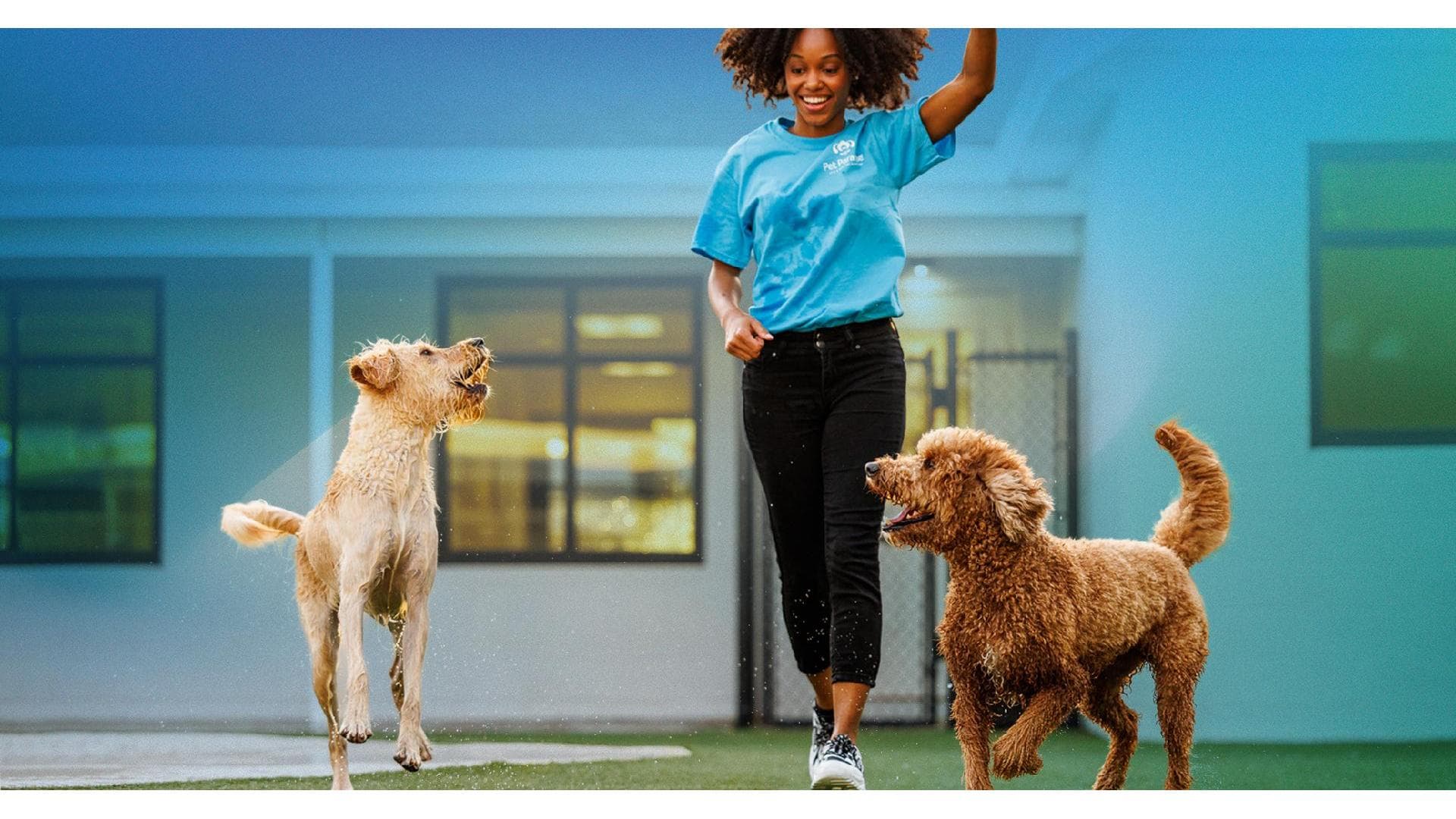 Pet Paradise Stone Oak - Pet groomer in San Antonio, TX