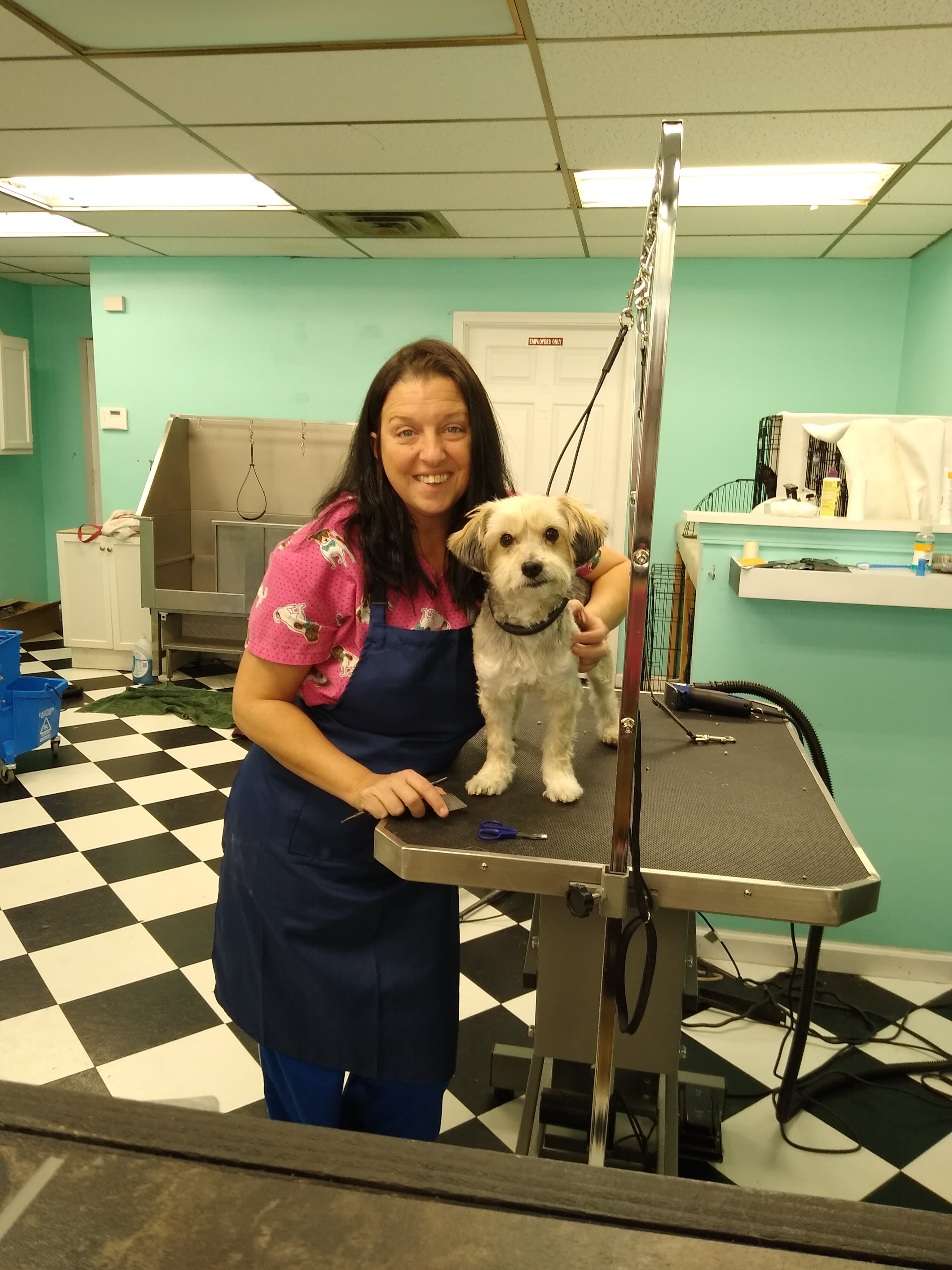 Kara's Lucky Dog Pet Grooming - Pet groomer in Indianapolis, IN