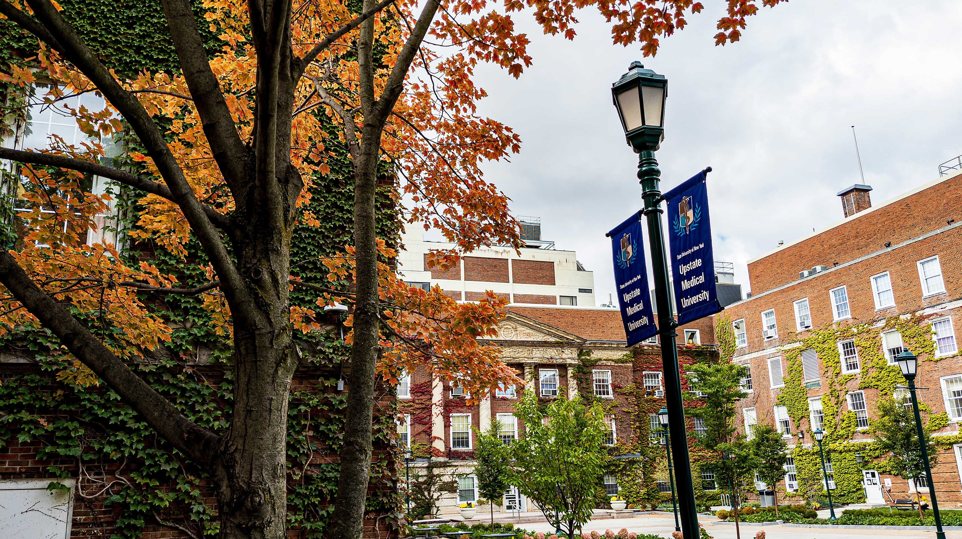 SUNNY Upstate Medical University - Doctor in Syracuse, NY