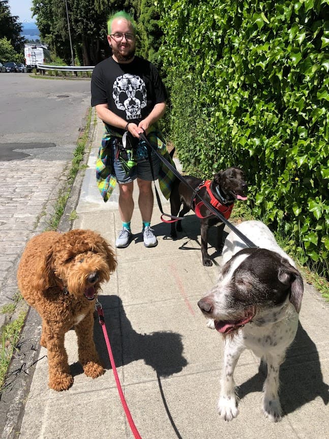 Comfy Critter LLC - Pet groomer in Seattle, WA