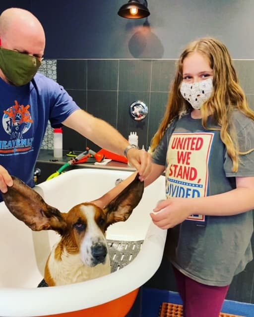 maxwell's pet bar - Pet groomer in San Francisco, CA