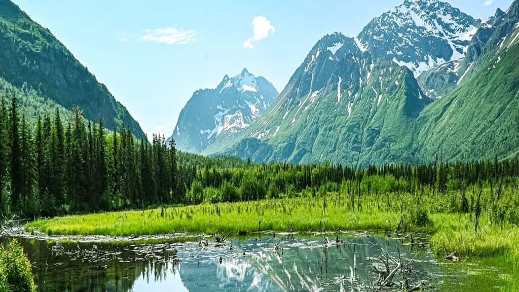 Alaska Urgent Care LLC - Doctor in Anchorage, AK