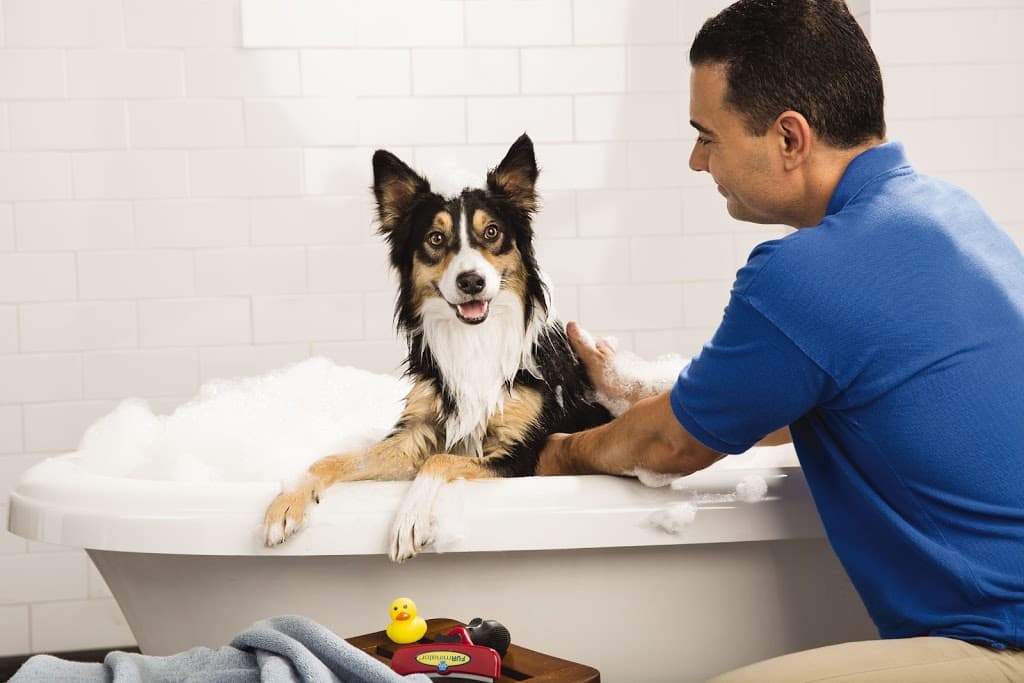 PetSmart Grooming - Pet groomer in Dallas, TX