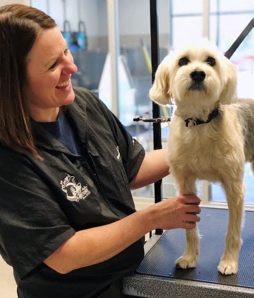 Lusis Doggy Daycare and Spa - Pet groomer in San Antonio, TX