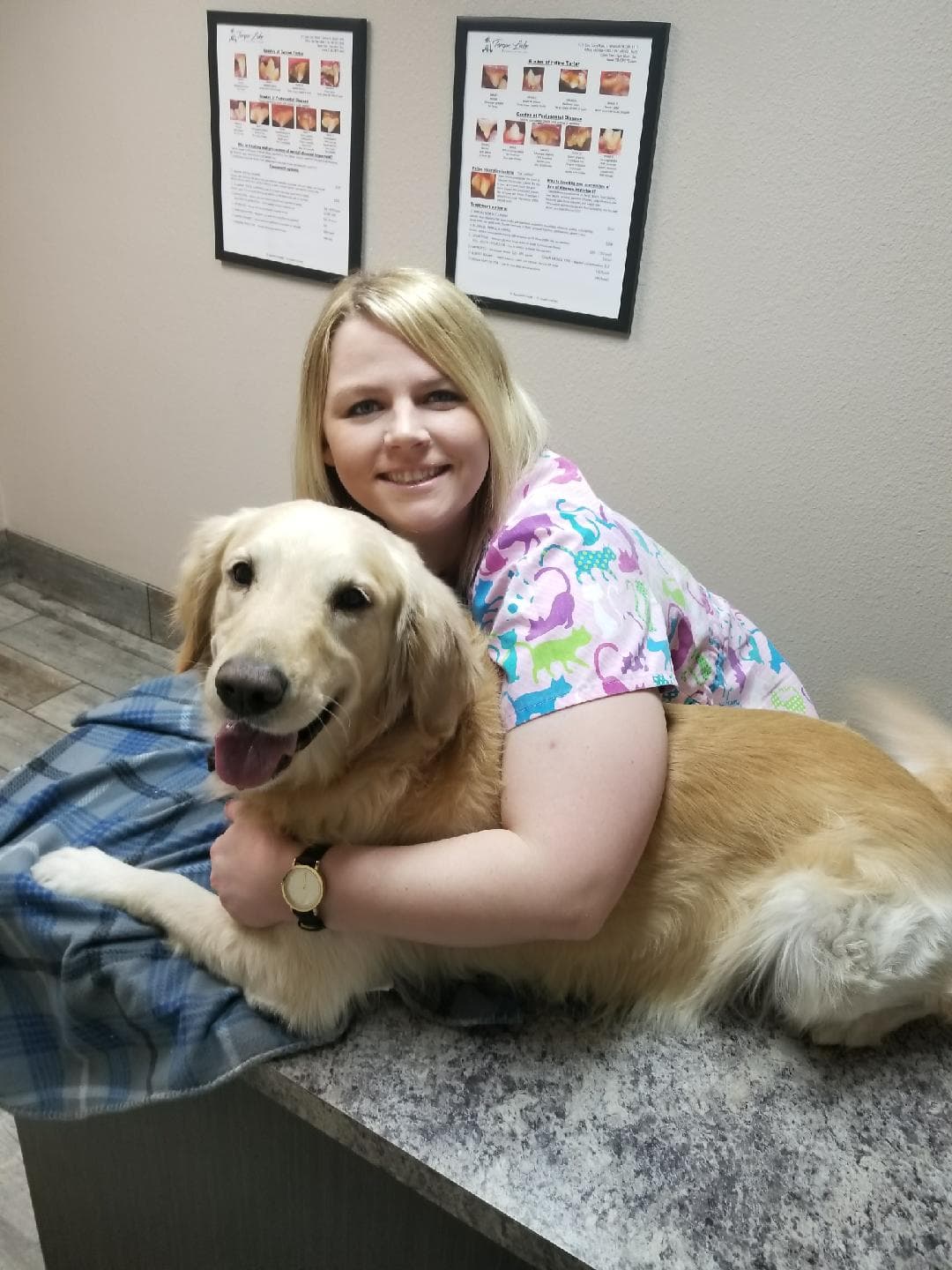 Tempe Lake Veterinary Clinic & Pet Resort - Pet groomer in Tempe, AZ