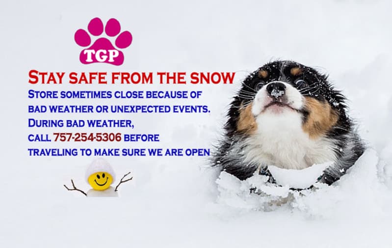 Toni's Glamour Pets - Pet groomer in Williamsburg, VA