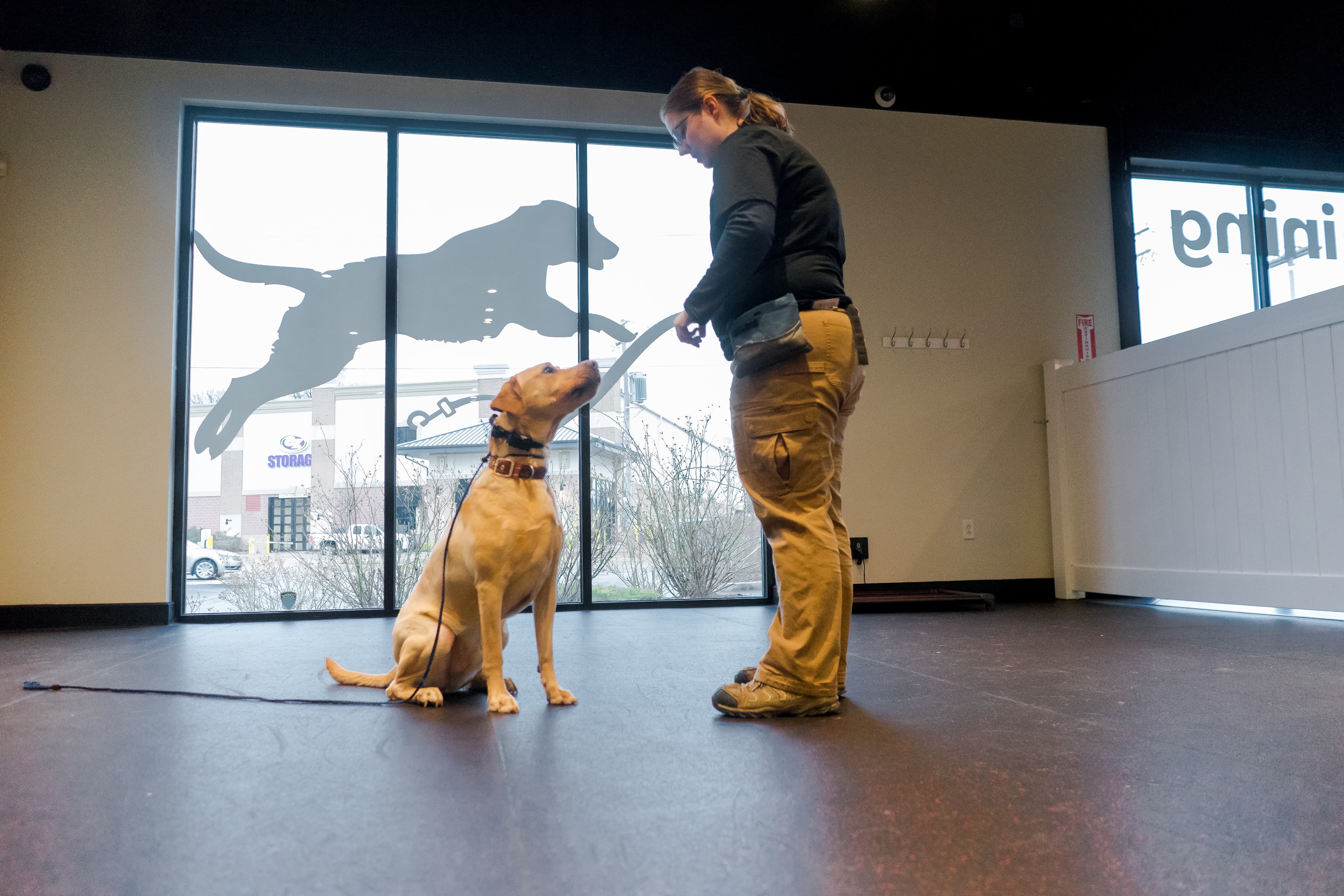 No Leash Needed - Pet groomer in St. Louis, MO