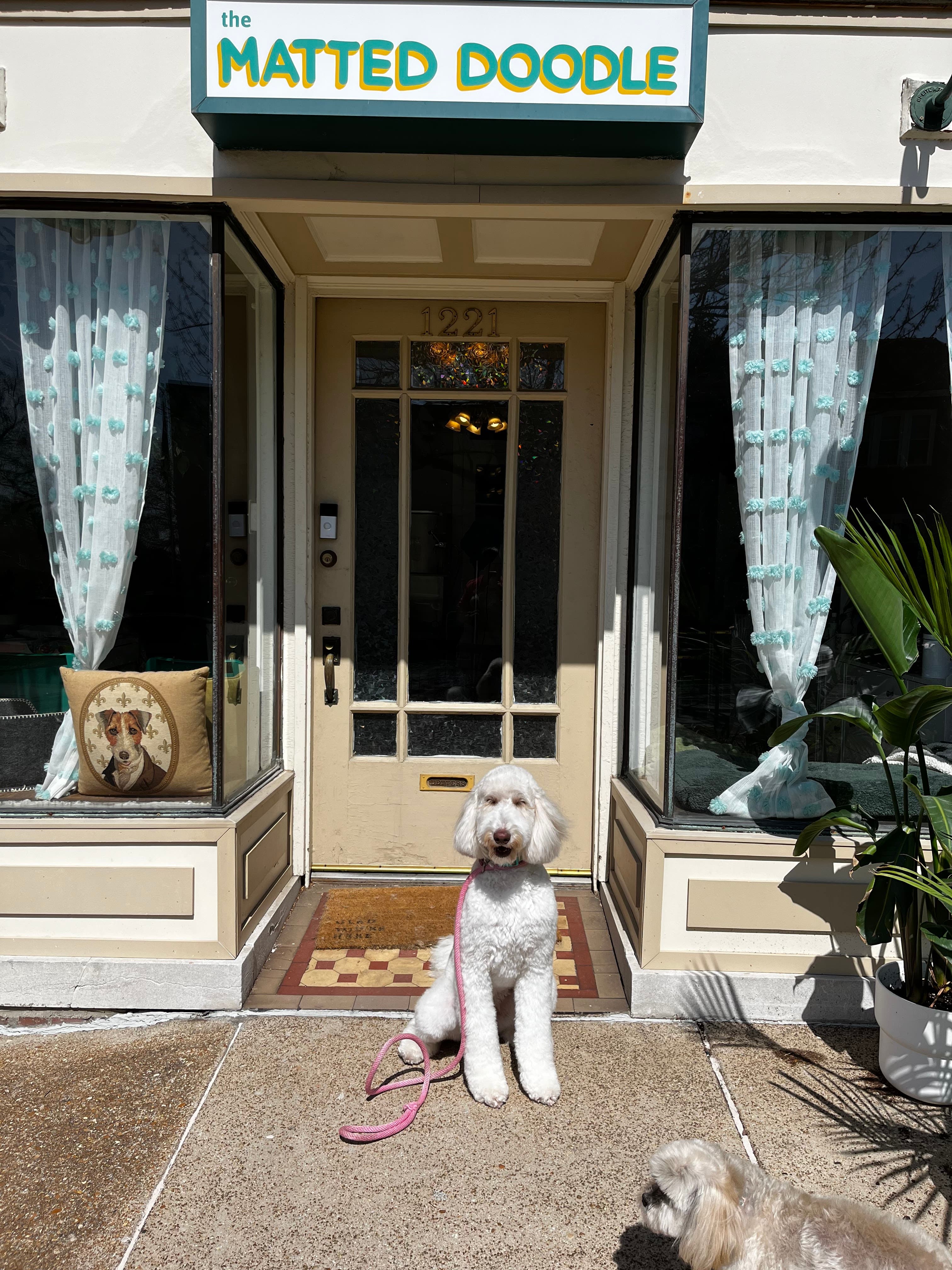 The Matted Doodle - Pet groomer in St. Louis, MO