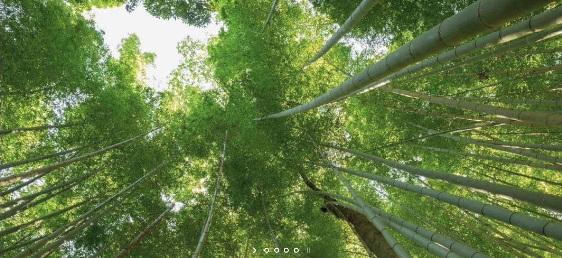 Natural Medicine Center of Lakeland - Doctor in Lakeland, FL